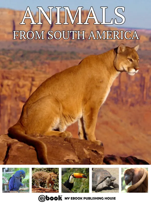 Animals from South America