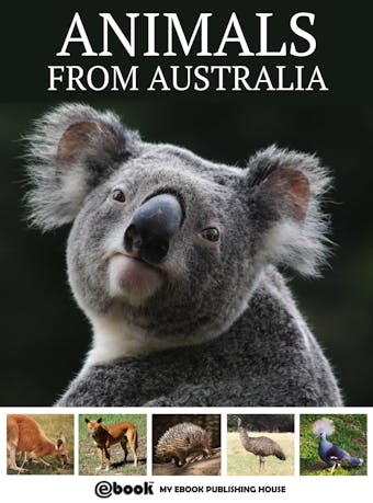 Animals from Australia - My Ebook Publishing House