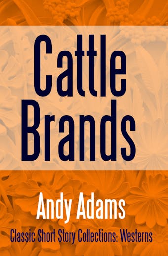 Andy adams