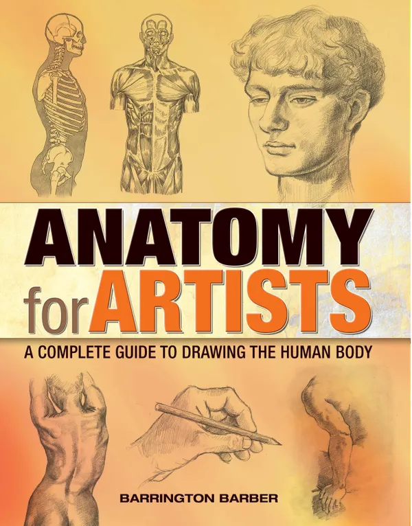 Anatomy for Artists : A Complete Guide to Drawing the Human Body