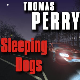 Sleeping Dogs - undefined