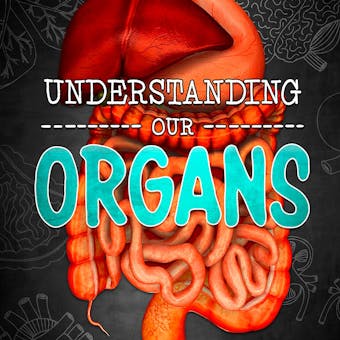 Understanding Our Organs - undefined