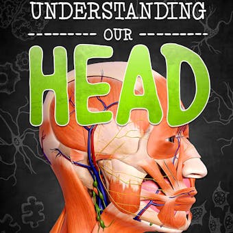Understanding Our Head - undefined