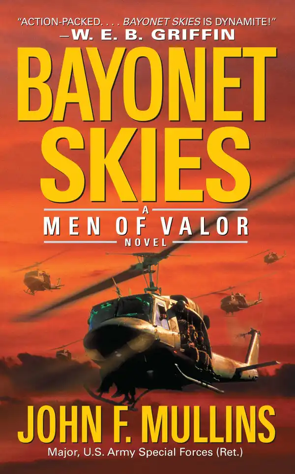 Bayonet Skies : Men of Valor