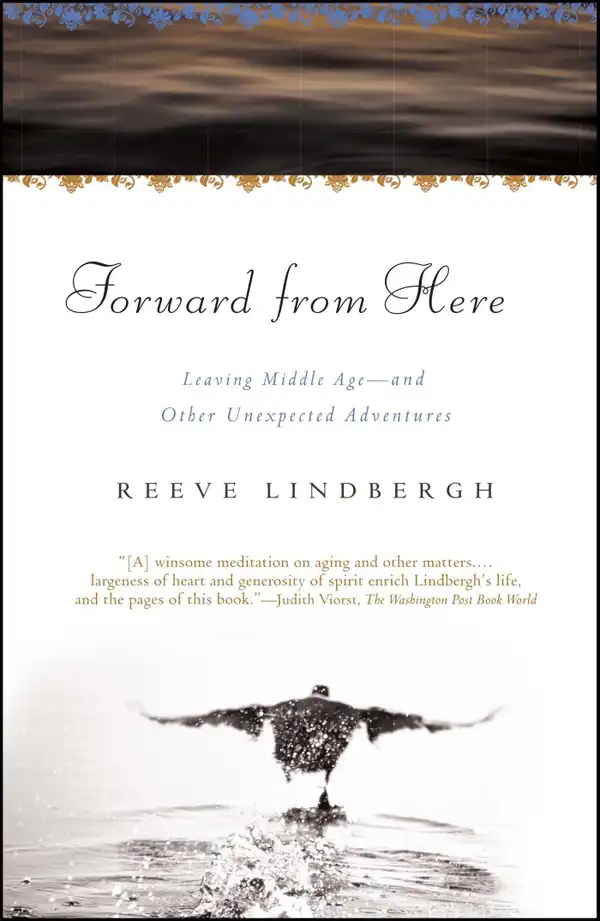 Forward From Here : Leaving Middle Age--and Other Unexpected Adventures