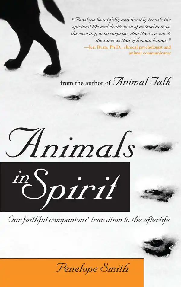Animals in Spirit : Our Faithful Companions' Transition to the Afterlife