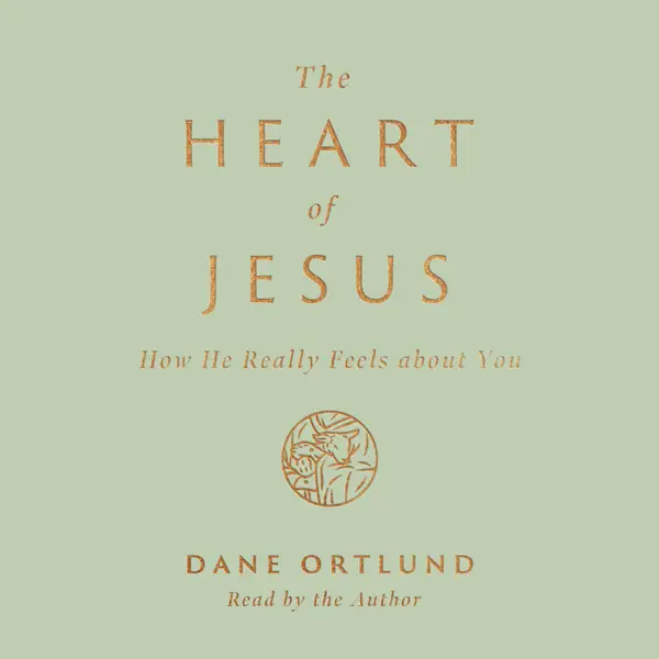 The Heart of Jesus : How He Really Feels about You