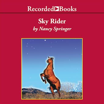 Sky Rider - undefined
