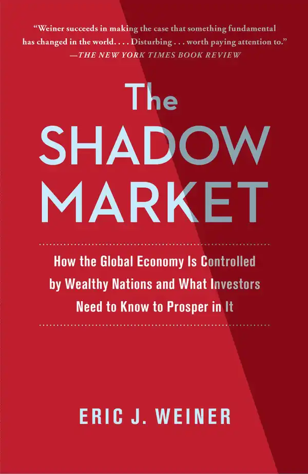 The Shadow Market : How a Group of Wealthy Nations and Powerful Investors Secretly Dominate the World