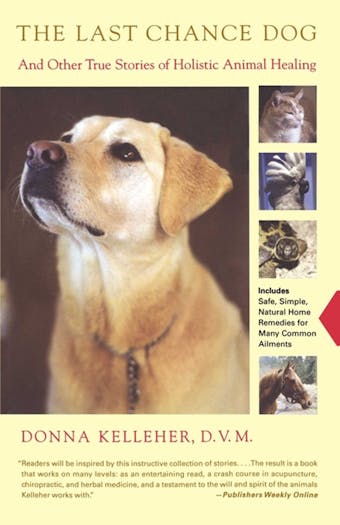 The Last Chance Dog: and Other True Stories of Holistic Animal Healing - Donna Kelleher