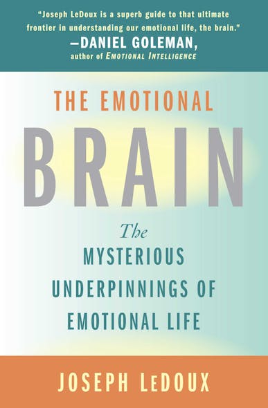 The Emotional Brain : The Mysterious Underpinnings Of Emotional Life