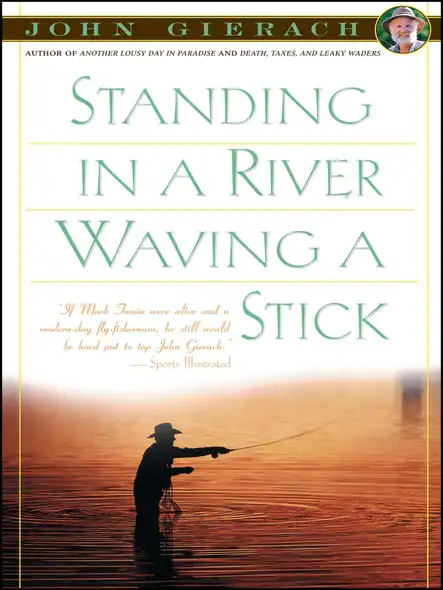 Standing In A River Waving A Stick
