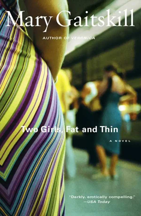 Two Girls, Fat and Thin : A Novel