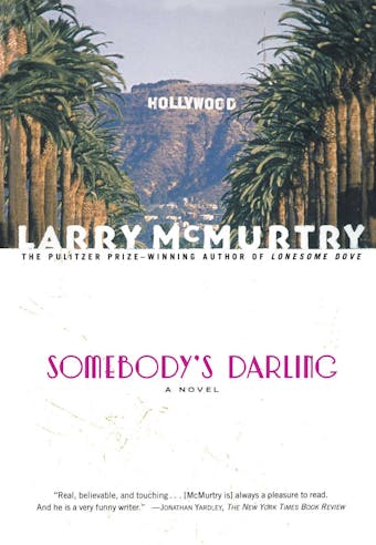 Somebody's Darling: A Novel - undefined