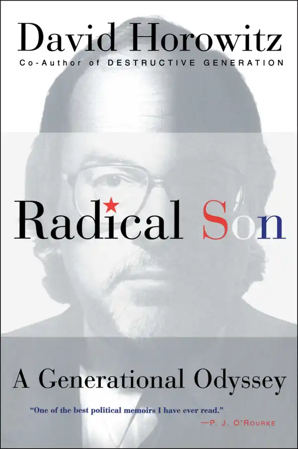 Radical Son : A Generational Oddysey