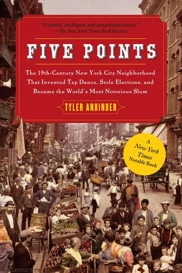 Five Points : The Nineteenth-Century New York City Neighborhood