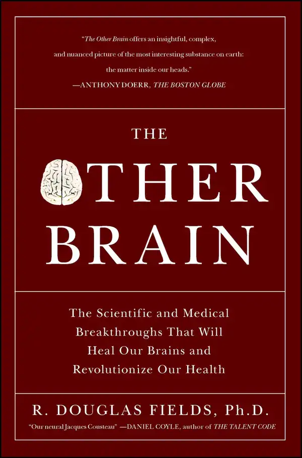 The Other Brain : From Dementia to Schizophrenia, How New Discoveries about the Brain Are Revolutionizing Medicine and Science