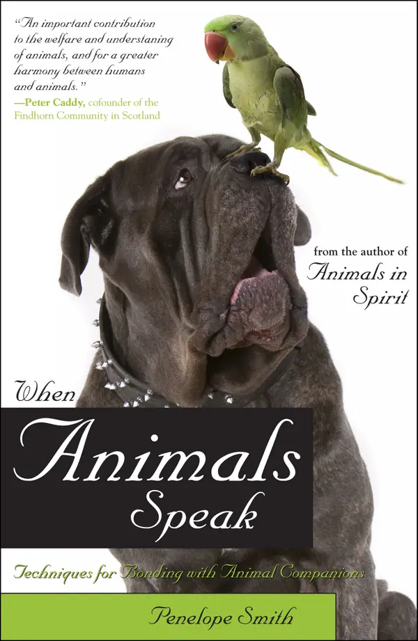 When Animals Speak : Techniques for Bonding With Animal Companions