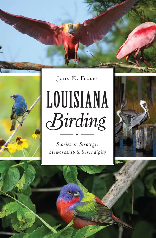 Louisiana Birding : Stories on Strategy, Stewardship & Serendipity