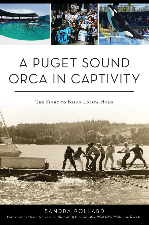 A Puget Sound Orca in Captivity : The Fight To Bring Lolita Home