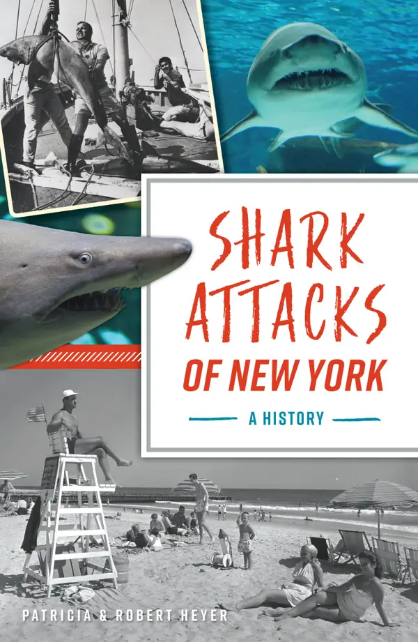 Shark Attacks of New York : A History