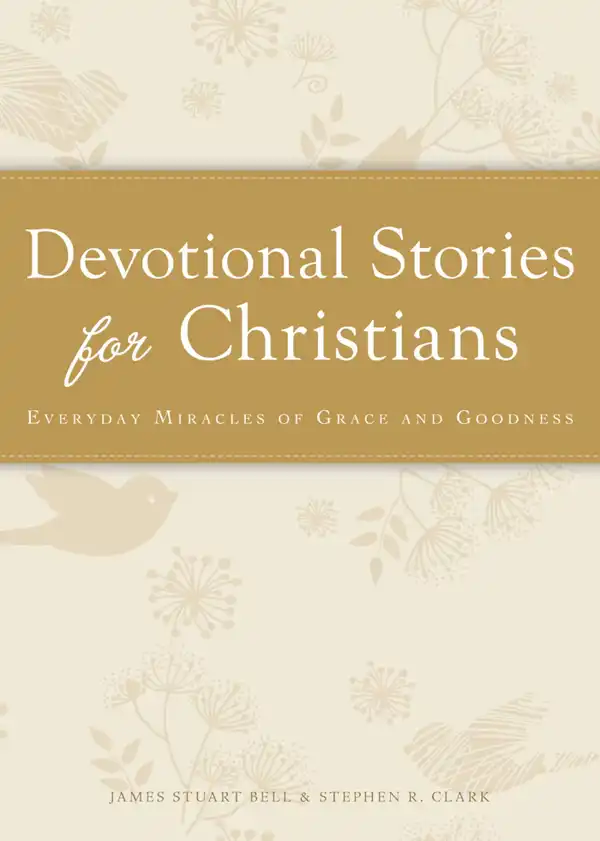 Devotional Stories for Christians : Everyday miracles of grace and goodness