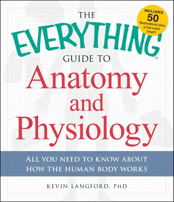 The Everything Guide to Anatomy and Physiology : All You Need to Know about How the Human Body Works