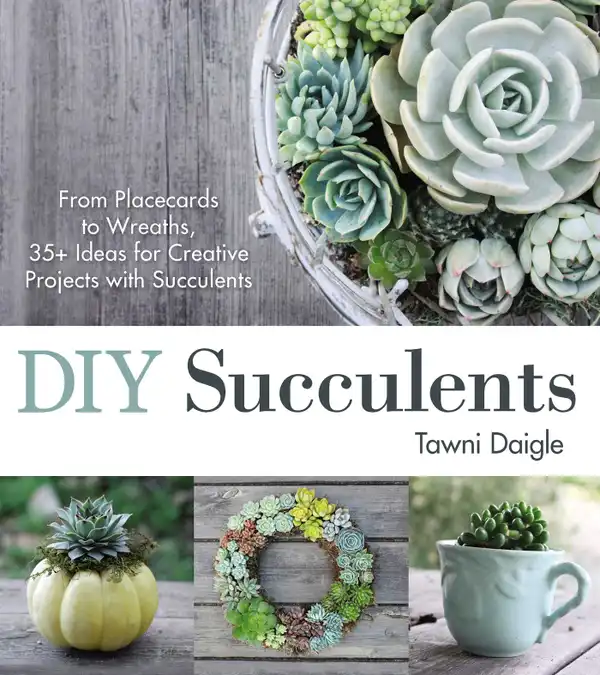 DIY Succulents : From Placecards to Wreaths, 35+ Ideas for Creative Projects with Succulents