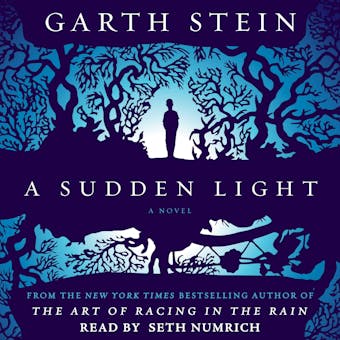 A Sudden Light: A Novel - undefined