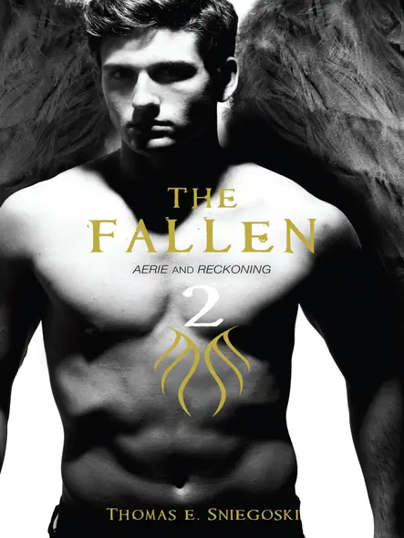 The Fallen 2 : Aerie And Reckoning