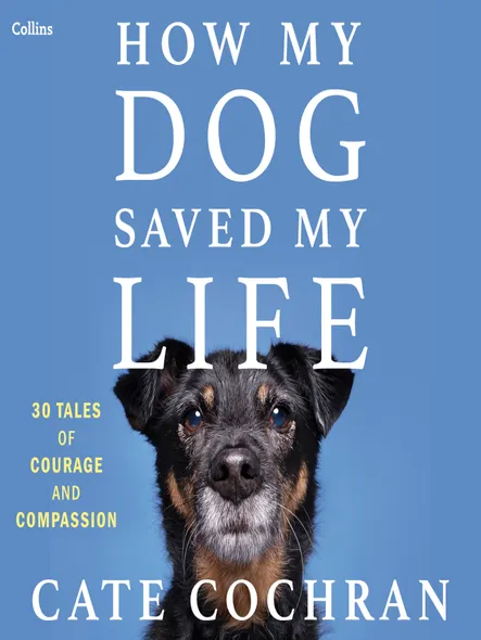 How My Dog Saved My Life : Thirty Tales Of Courage And Compassion