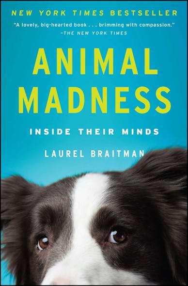 Animal Madness : How Anxious Dogs, Compulsive Parrots, And Elephants In Recovery Help Us Understand Ourselves