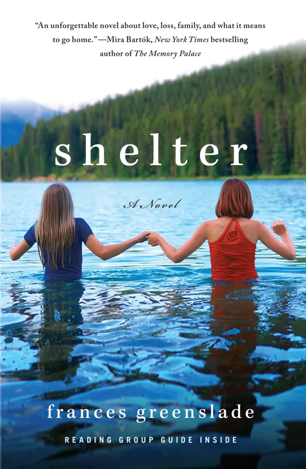 Shelter : A Novel