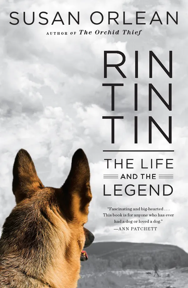 Rin Tin Tin Enhanced eBook : The Life and the Legend