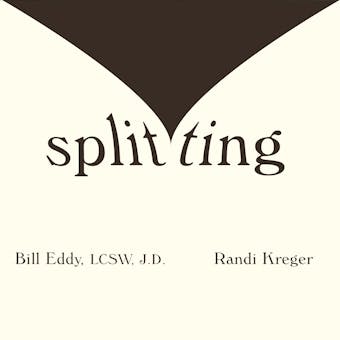 Splitting: Protecting Yourself While Divorcing Someone With Borderline or Narcissistic Personality Disorder - undefined