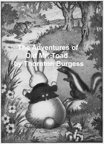 The Adventures of Old Mr. Toad, Illustrated - undefined