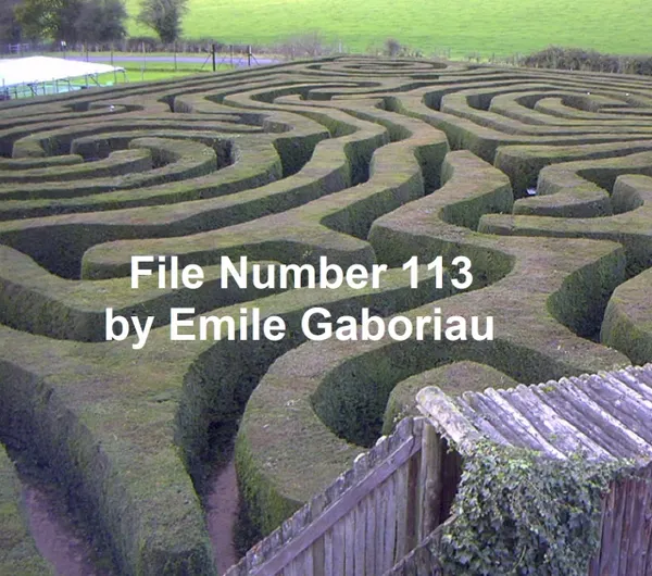 File No. 113