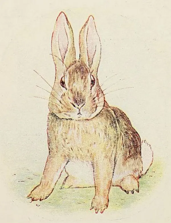 The Story of a Fierce Bad Rabbit