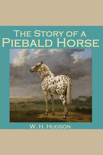 The Story of a Piebald Horse - undefined
