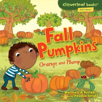 Fall Pumpkins: Orange and Plump - undefined