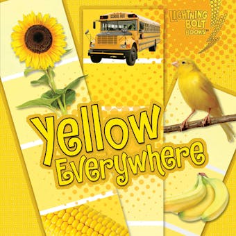 Yellow Everywhere - undefined