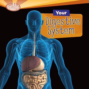 Your Digestive System - undefined