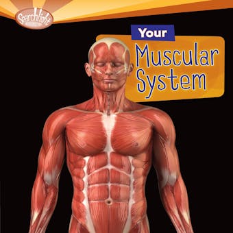 Your Muscular System - undefined