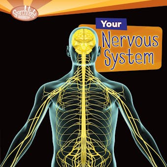 Your Nervous System - undefined