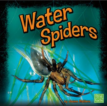 Water Spiders - undefined
