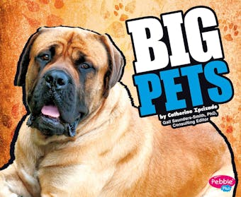 BIG Pets - undefined