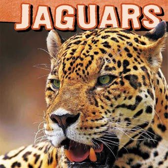 Jaguars - undefined