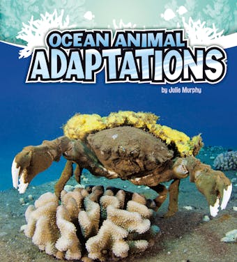 Ocean Animal Adaptations - undefined