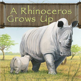 A Rhinoceros Grows Up - undefined