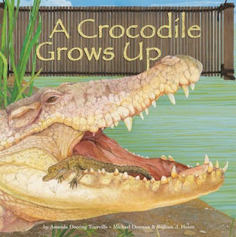 A Crocodile Grows Up - undefined